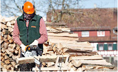 STIHL - Motoseghe per il taglio di legna da ardere e la cura del verde