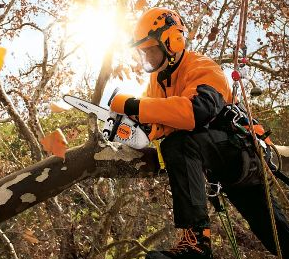 STIHL - motoseghe per la potatura